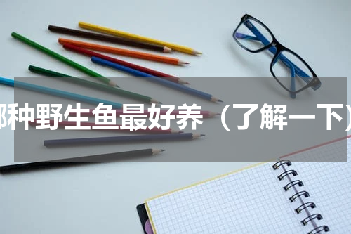 哪种野生鱼最好养（了解一下）