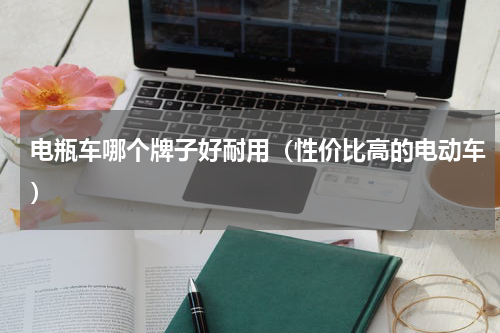 电瓶车哪个牌子好耐用（性价比高的电动车）