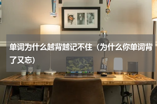 单词为什么越背越记不住（为什么你单词背了又忘）