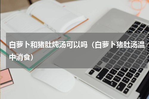 白萝卜和猪肚炖汤可以吗（白萝卜猪肚汤温中消食）
