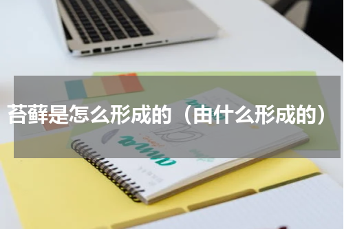 苔藓是怎么形成的（由什么形成的）