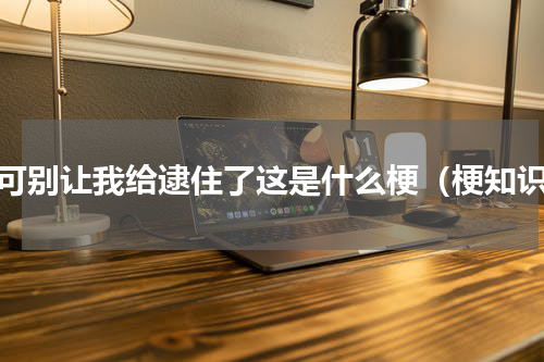 你可别让我给逮住了这是什么梗（梗知识）