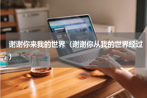 谢谢你来我的世界（谢谢你从我的世界经过）