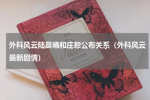 外科风云陆晨曦和庄恕公布关系（外科风云最新剧情）