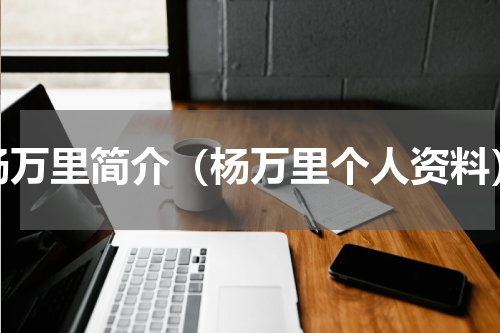 杨万里简介（杨万里个人资料）