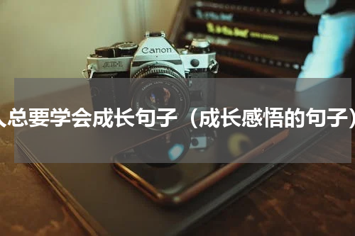 人总要学会成长句子（成长感悟的句子）