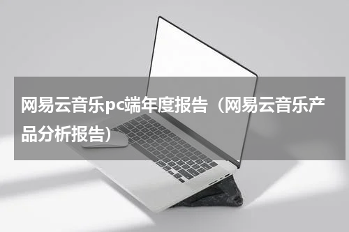 网易云音乐pc端年度报告（网易云音乐产品分析报告）