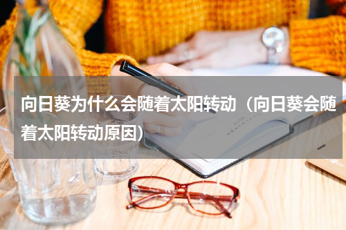 向日葵为什么会随着太阳转动（向日葵会随着太阳转动原因）