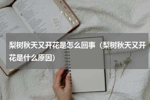 梨树秋天又开花是怎么回事（梨树秋天又开花是什么原因）