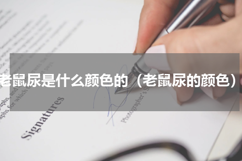 老鼠尿是什么颜色的（老鼠尿的颜色）