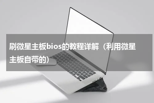 刷微星主板bios的教程详解（利用微星主板自带的）