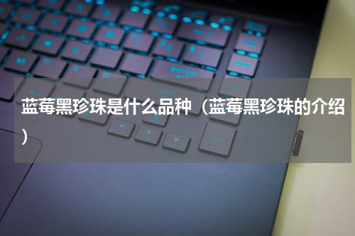 蓝莓黑珍珠是什么品种（蓝莓黑珍珠的介绍）