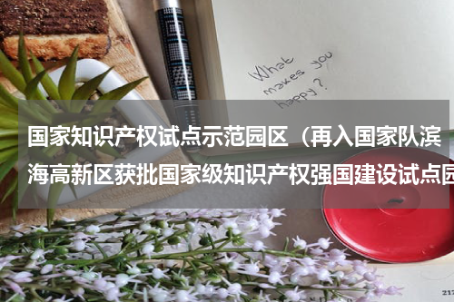 国家知识产权试点示范园区（再入国家队滨海高新区获批国家级知识产权强国建设试点园区）