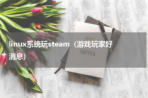 linux系统玩steam（游戏玩家好消息）