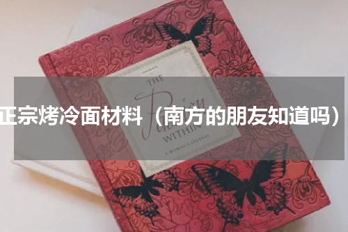 正宗烤冷面材料（南方的朋友知道吗）