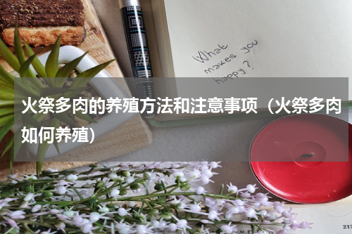 火祭多肉的养殖方法和注意事项（火祭多肉如何养殖）