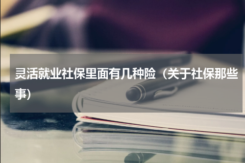 灵活就业社保里面有几种险（关于社保那些事）