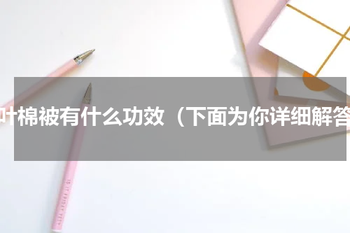 艾叶棉被有什么功效（下面为你详细解答）