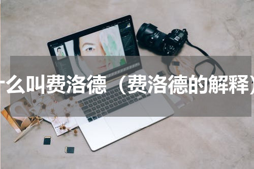 什么叫费洛德（费洛德的解释）