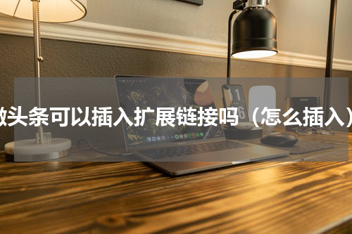 微头条可以插入扩展链接吗（怎么插入）