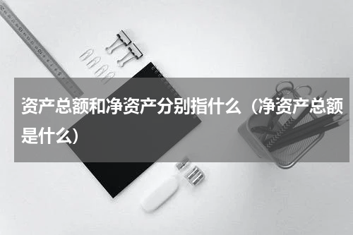 资产总额和净资产分别指什么（净资产总额是什么）