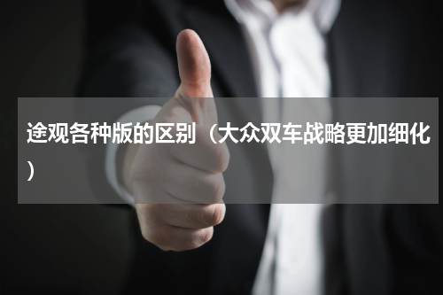 途观各种版的区别（大众双车战略更加细化）