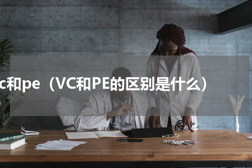 vc和pe（VC和PE的区别是什么）