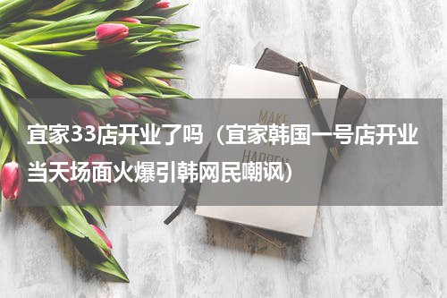 宜家33店开业了吗（宜家韩国一号店开业当天场面火爆引韩网民嘲讽）