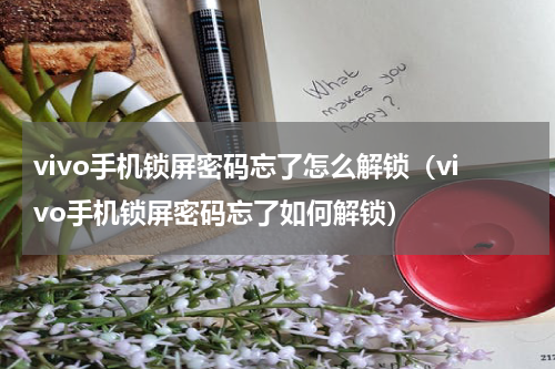 vivo手机锁屏密码忘了怎么解锁（vivo手机锁屏密码忘了如何解锁）