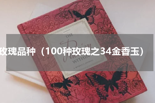 老玫瑰品种（100种玫瑰之34金香玉）