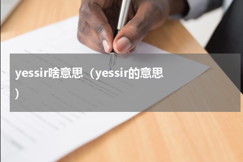 yessir啥意思（yessir的意思）