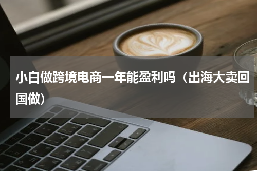 小白做跨境电商一年能盈利吗（出海大卖回国做）