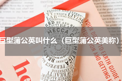 巨型蒲公英叫什么（巨型蒲公英美称）