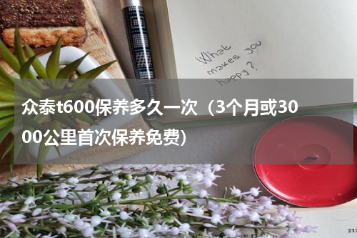 众泰t600保养多久一次（3个月或3000公里首次保养免费）