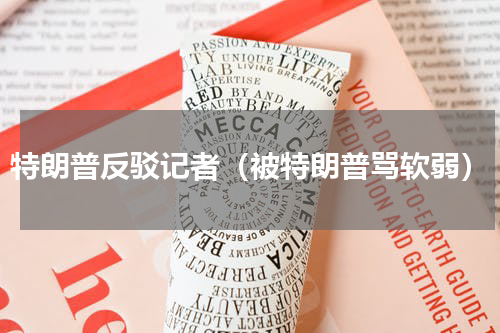 特朗普反驳记者（被特朗普骂软弱）