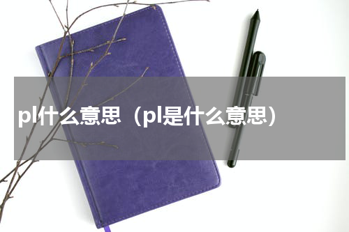 pl什么意思（pl是什么意思）