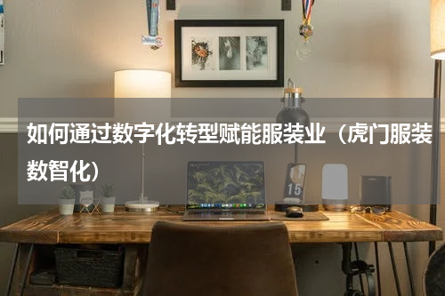 如何通过数字化转型赋能服装业（虎门服装数智化）