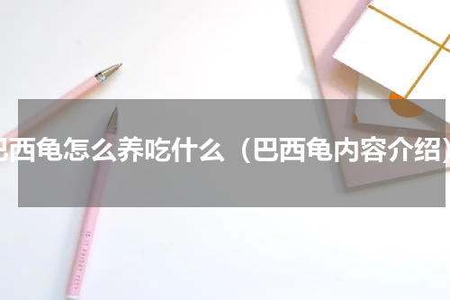 巴西龟怎么养吃什么（巴西龟内容介绍）