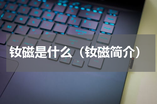 钕磁是什么（钕磁简介）