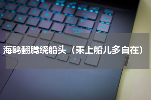 海鸥翻腾绕船头（乘上船儿多自在）