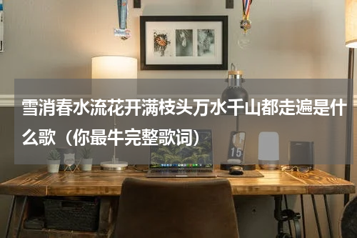 雪消春水流花开满枝头万水千山都走遍是什么歌（你最牛完整歌词）