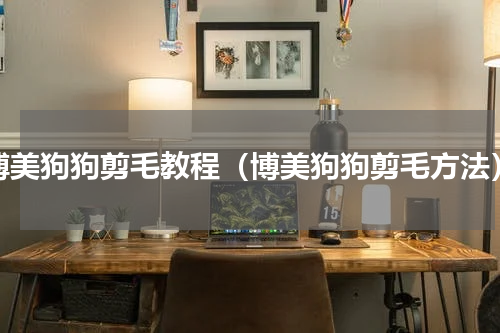 博美狗狗剪毛教程（博美狗狗剪毛方法）