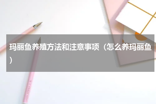 玛丽鱼养殖方法和注意事项（怎么养玛丽鱼）