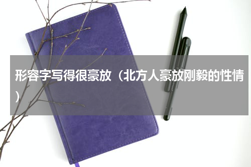 形容字写得很豪放（北方人豪放刚毅的性情）