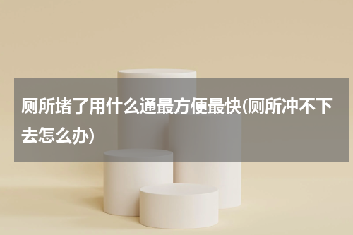 厕所堵了用什么通最方便最快(厕所冲不下去怎么办)