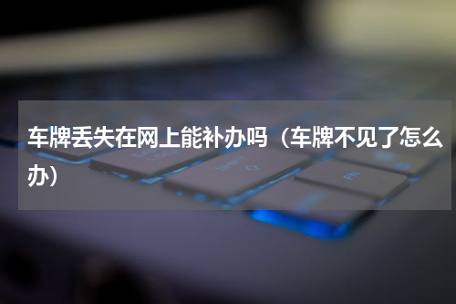 车牌丢失在网上能补办吗（车牌不见了怎么办）