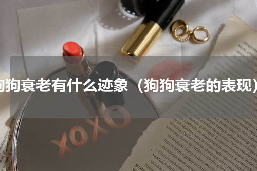 狗狗衰老有什么迹象（狗狗衰老的表现）