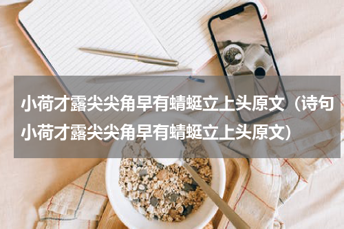 小荷才露尖尖角早有蜻蜓立上头原文（诗句小荷才露尖尖角早有蜻蜓立上头原文）