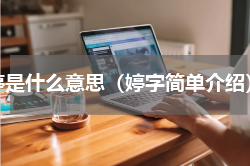 婷是什么意思（婷字简单介绍）