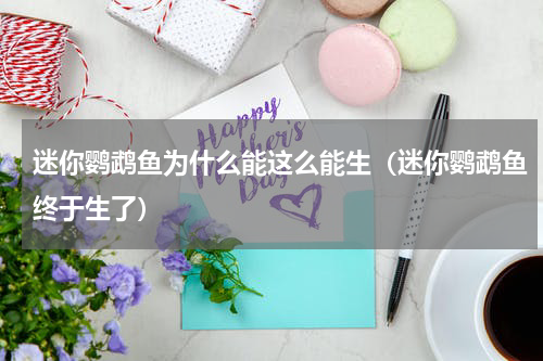 迷你鹦鹉鱼为什么能这么能生（迷你鹦鹉鱼终于生了）